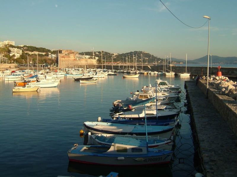 forum rencontre toulon