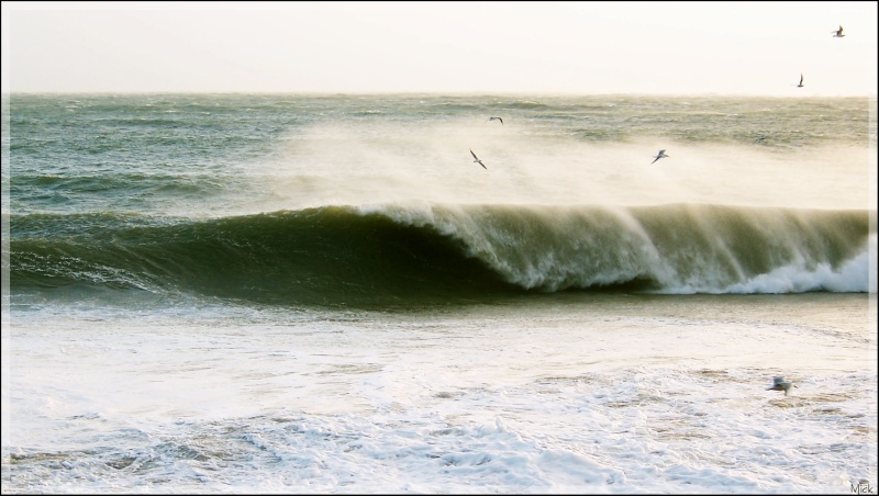 photo de surf 2520