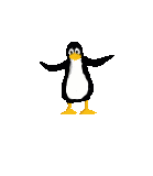 pingou10.gif