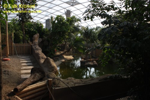 zoo