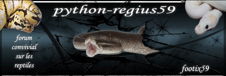 python-regius59