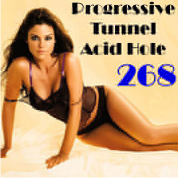 VA - Progressive Tunnel - Acid Hole - 268 (15.10.2010)