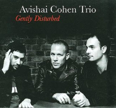 Avishai Cohen - Gently Disturbed (2007)