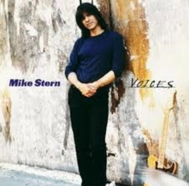 Free Mike Stern - Voices (2001)