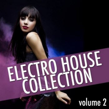 Electro House Collection Vol 2 (2010)