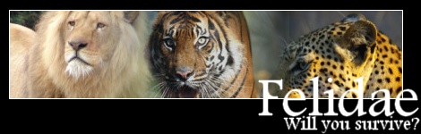 Felidae
