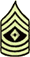 Co-Owner - 1SG Co-Owner - 1SG