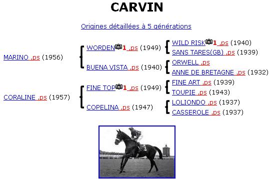 carvin10.jpg