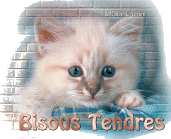 bisous14.gif