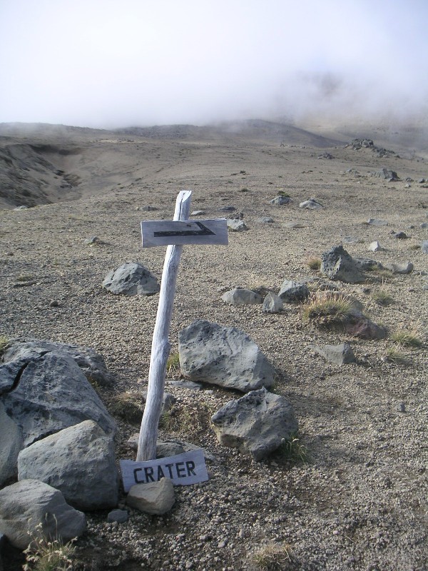 apict010.jpg