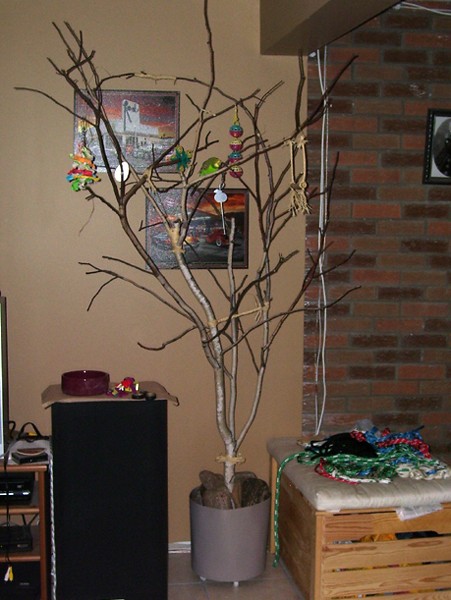 arbre011.jpg